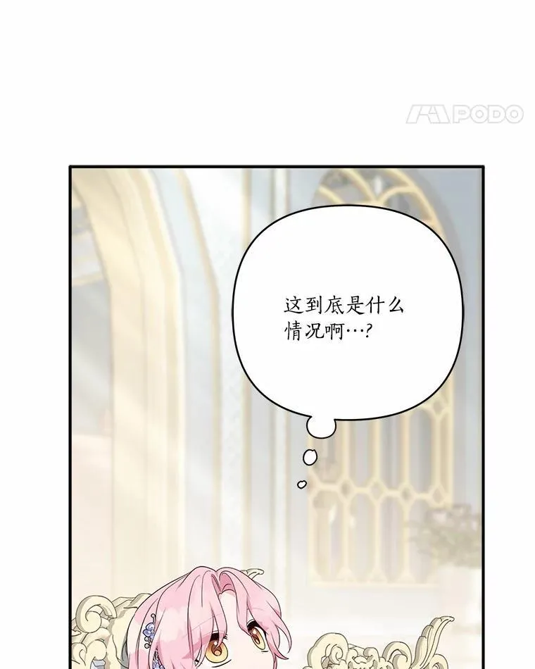 52.和平协定 第43页