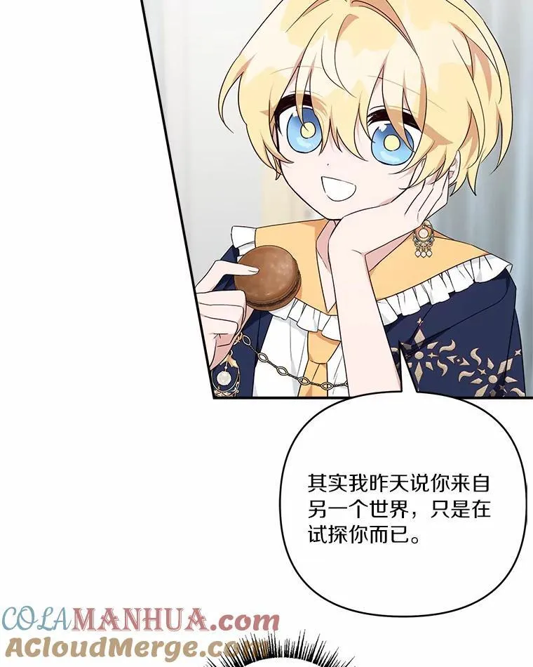 52.和平协定 第61页