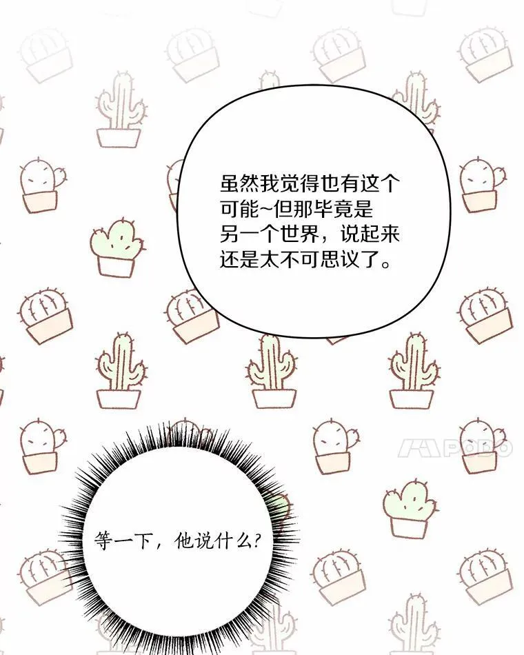 52.和平协定 第63页