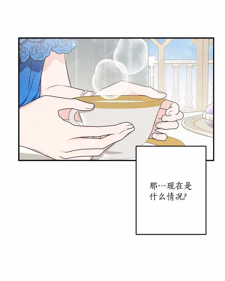 52.和平协定 第66页