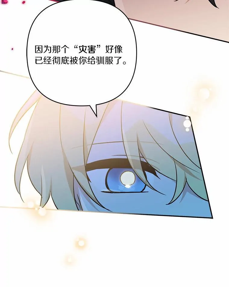 52.和平协定 第106页