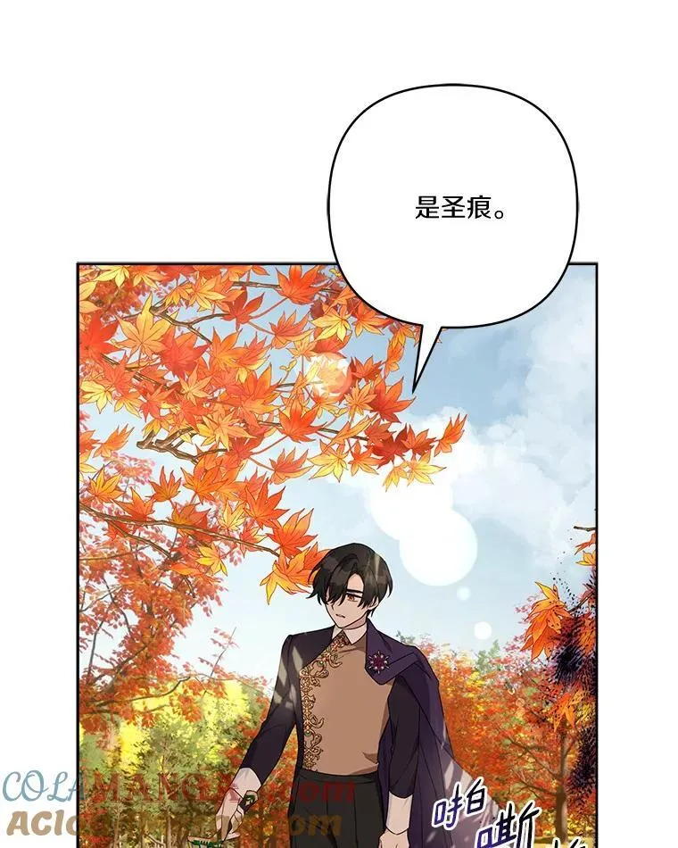 61.圣痕袭来 第17页
