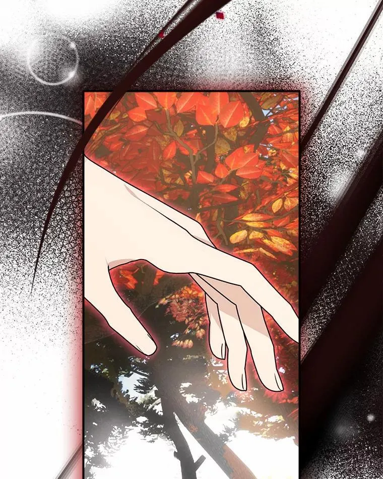 63.希望她幸福 第15页
