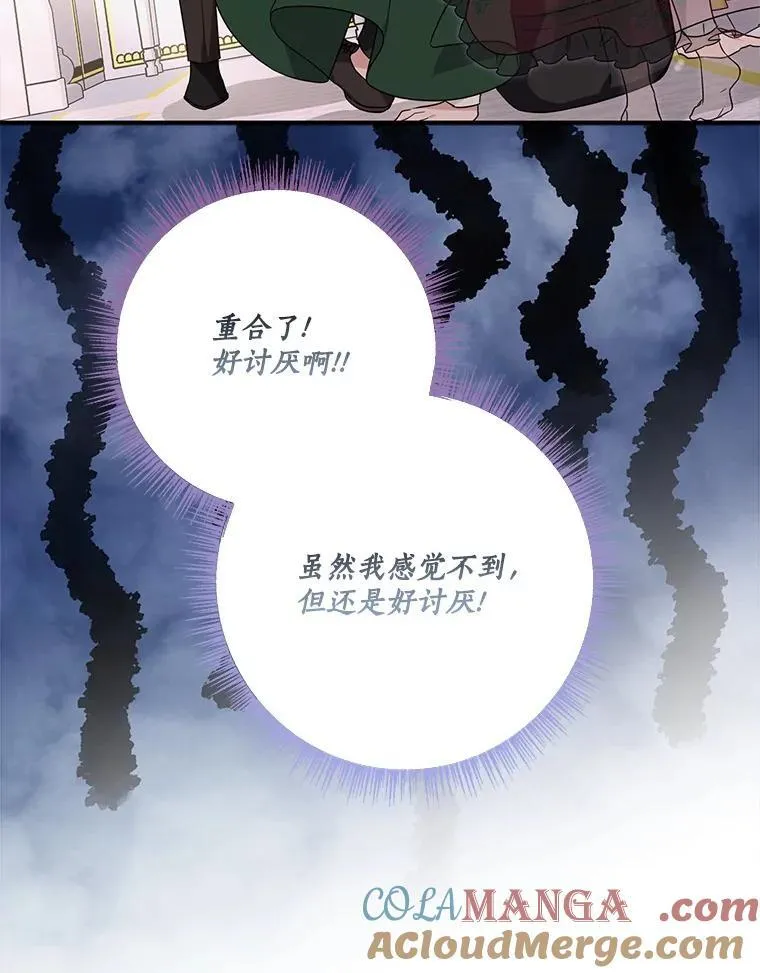 66.试试新庇护 第61页