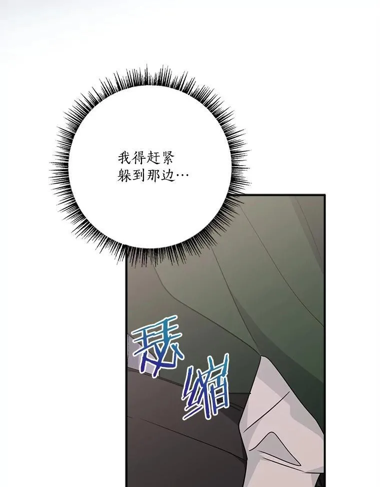 66.试试新庇护 第62页
