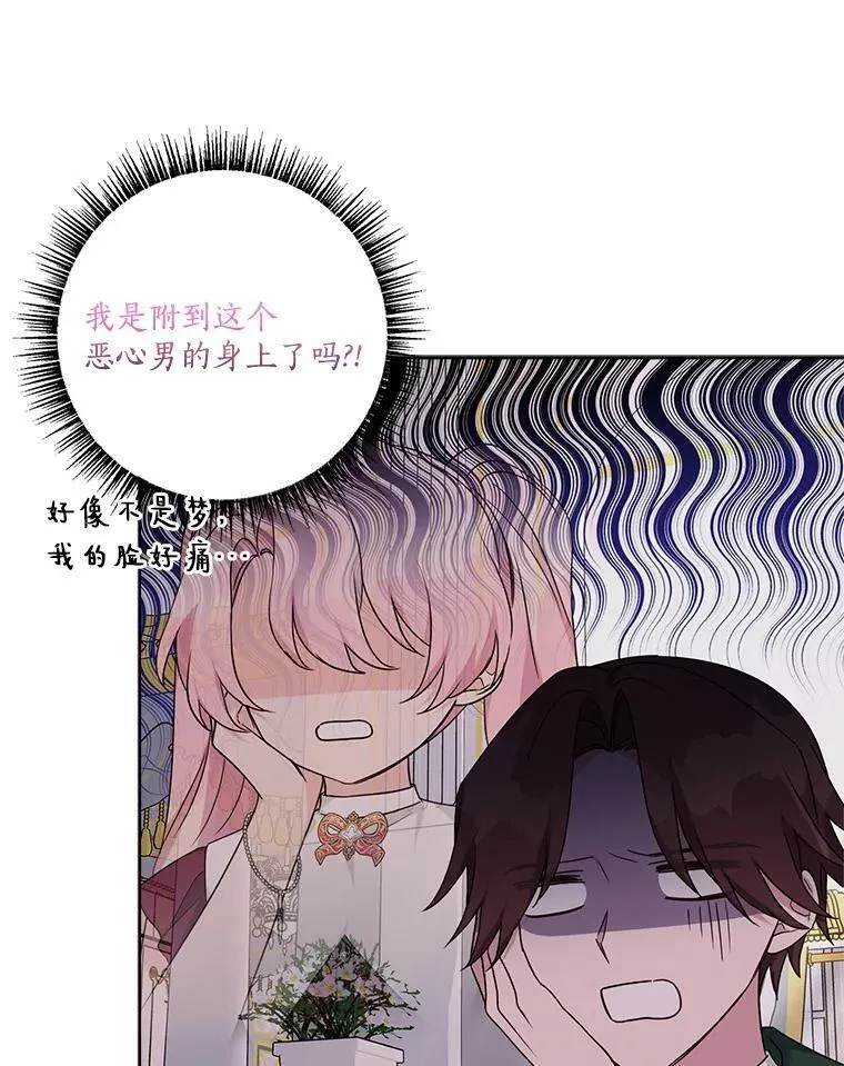 66.试试新庇护 第66页