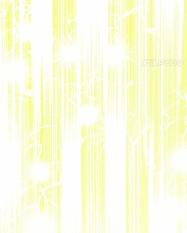 66.试试新庇护 第84页