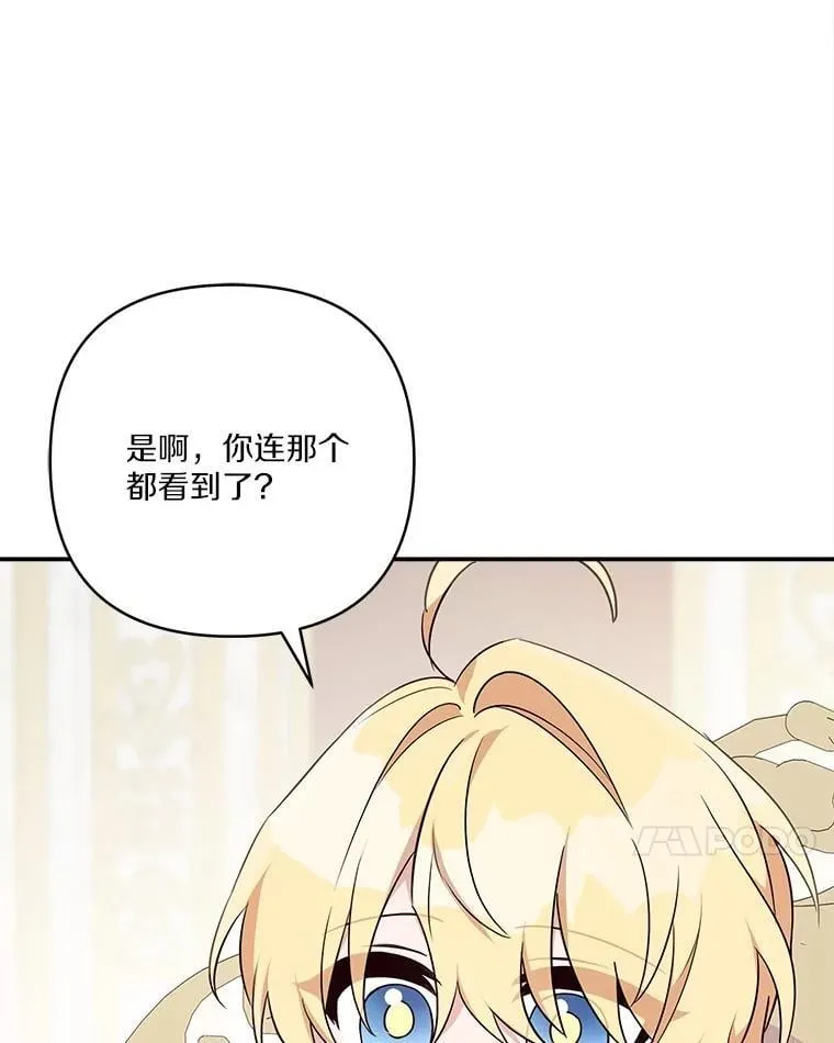81.寻找卡片游戏 第7页