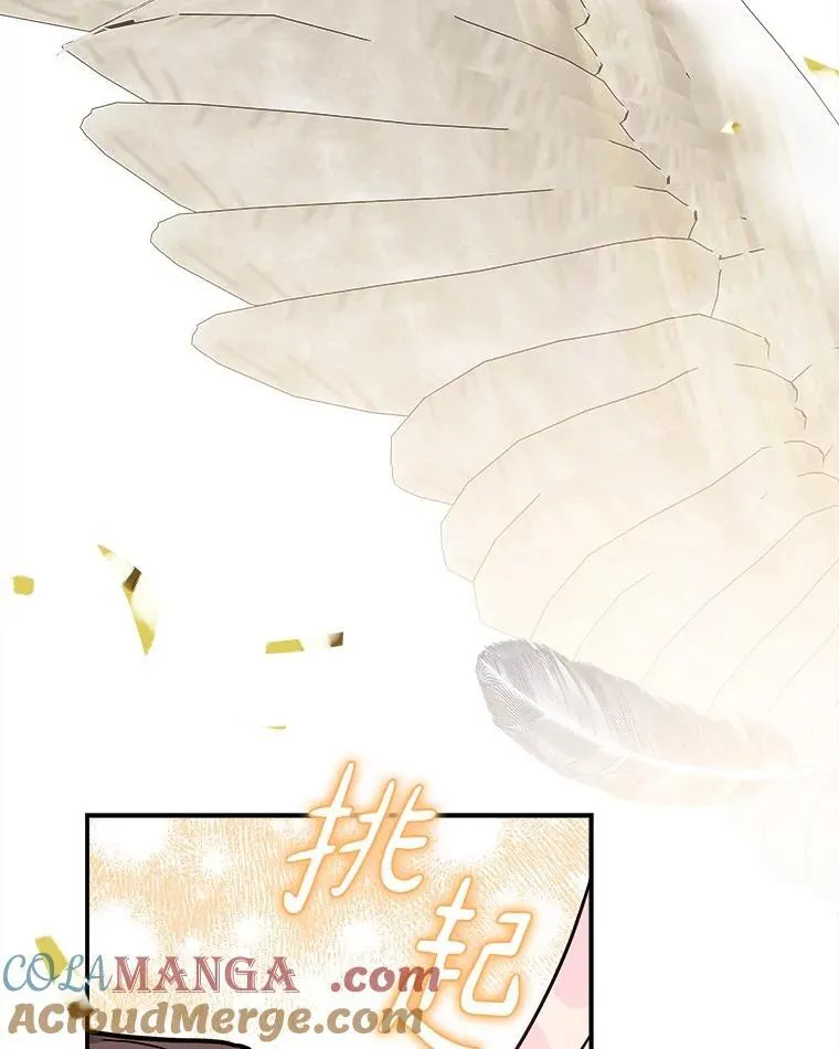 95.最后一次机会 第17页