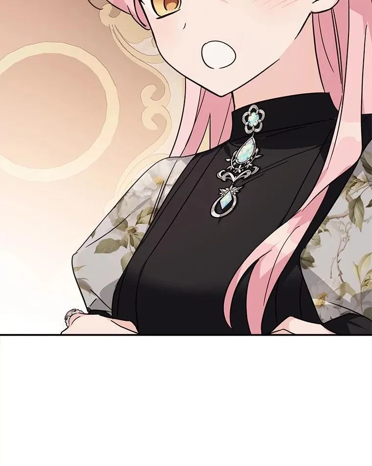 95.最后一次机会 第28页