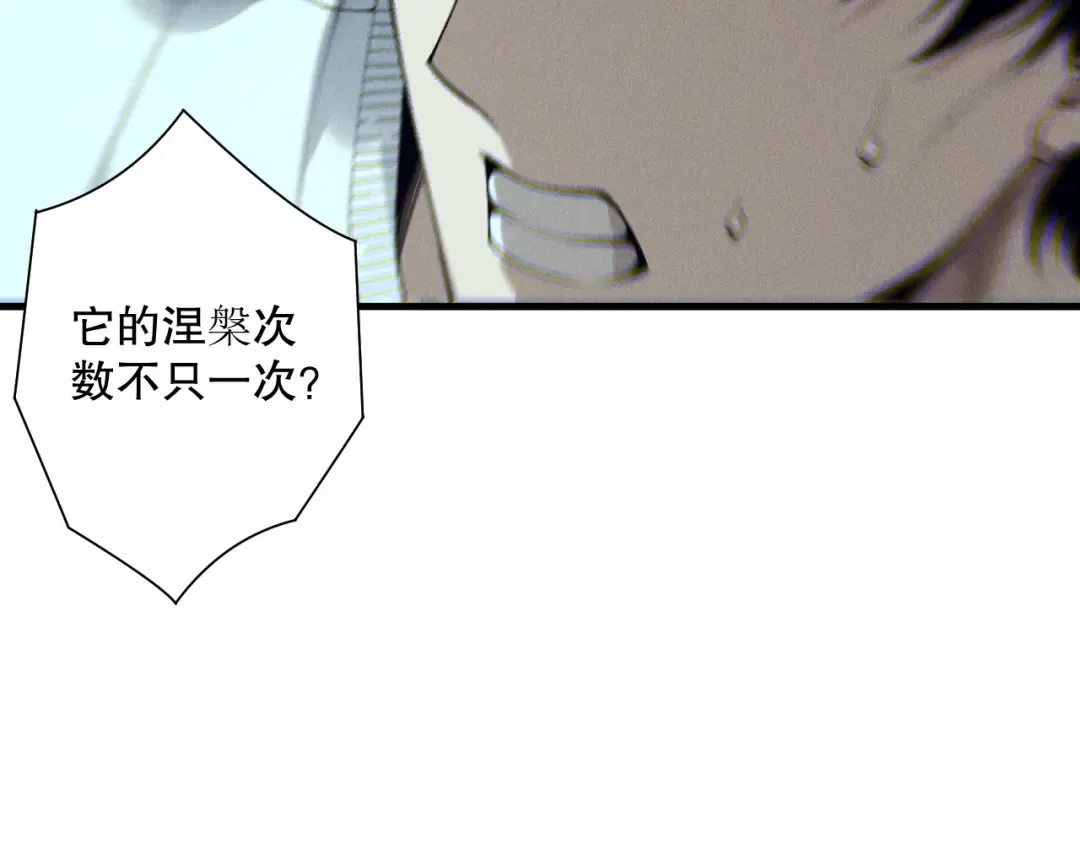 第205话 远古地龙 第11页