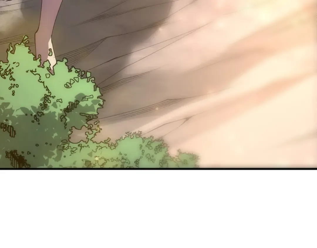 第248话 覆盖整个帝国的大阵 第11页