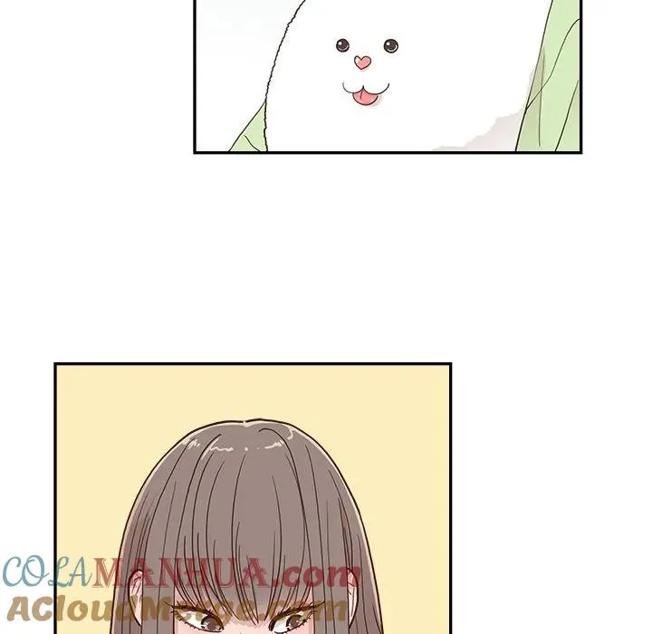 20 第53页