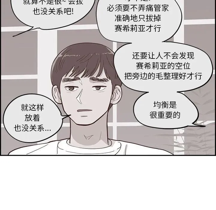 21 第28页