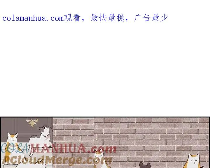 31 第1页