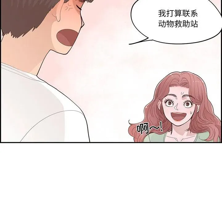 50 第44页