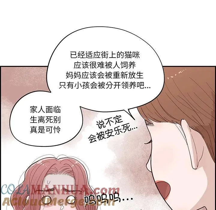 50 第45页