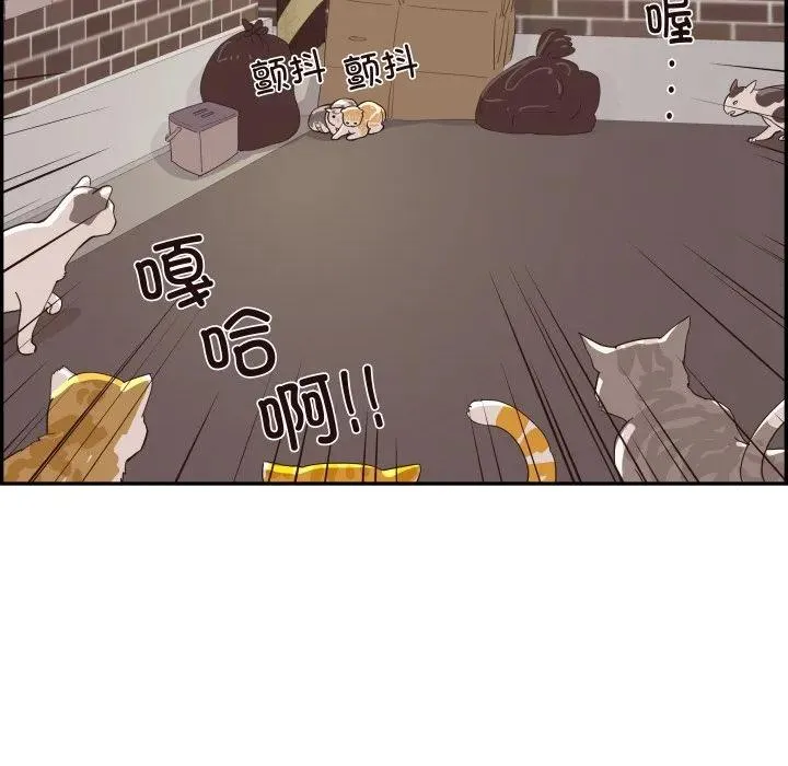 61 第90页