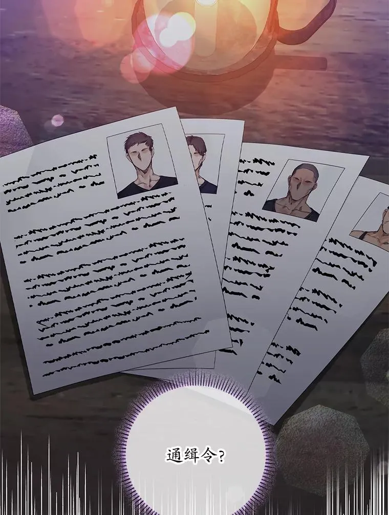 14.突袭 第102页