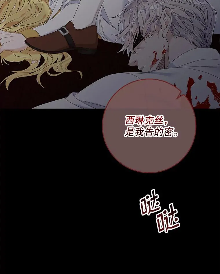 15.西琳克丝的身世 第19页