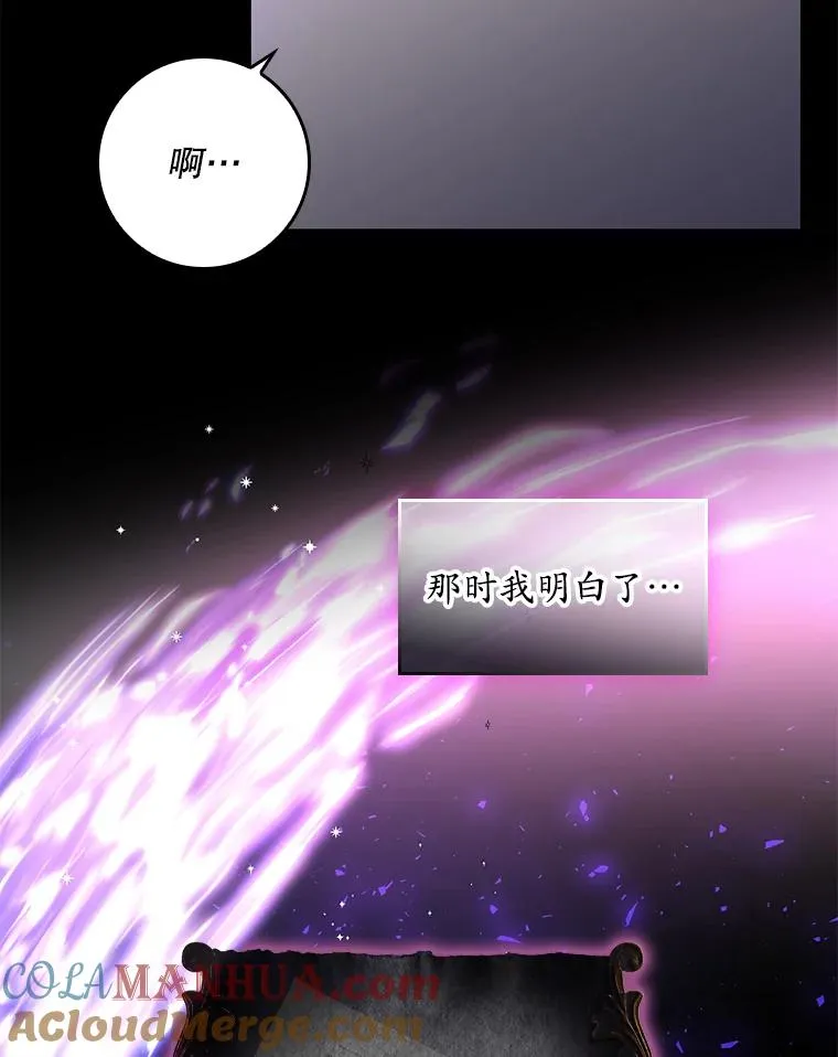 15.西琳克丝的身世 第29页