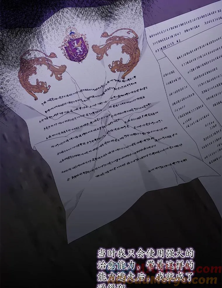 15.西琳克丝的身世 第53页