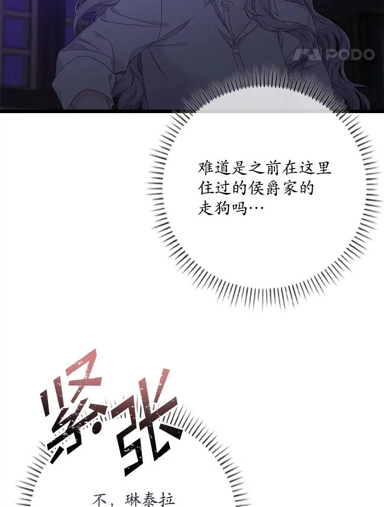 15.西琳克丝的身世 第75页