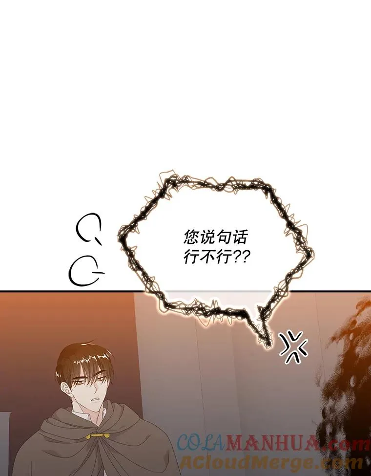 23.海姆达的协助 第37页