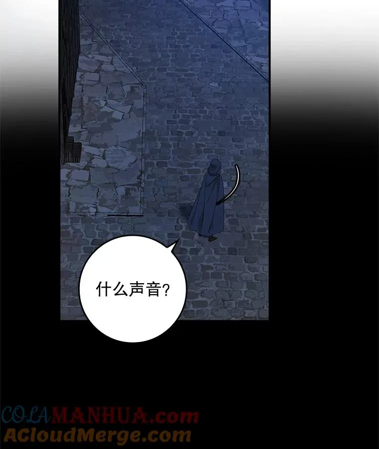 35.嫉妒的海姆达 第117页