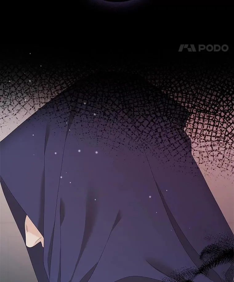 36.琳泰拉的委托 第107页