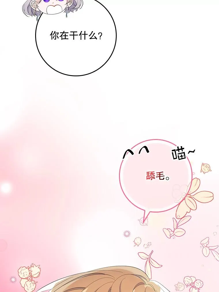 40.阿森纳的祝福 第66页