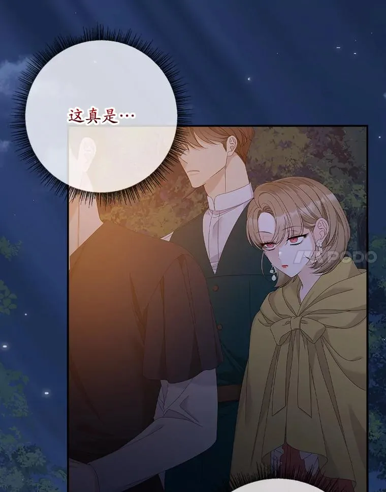 41.传教活动 第47页