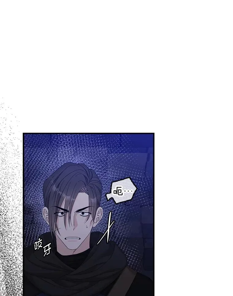 48.海姆达的请求 第40页
