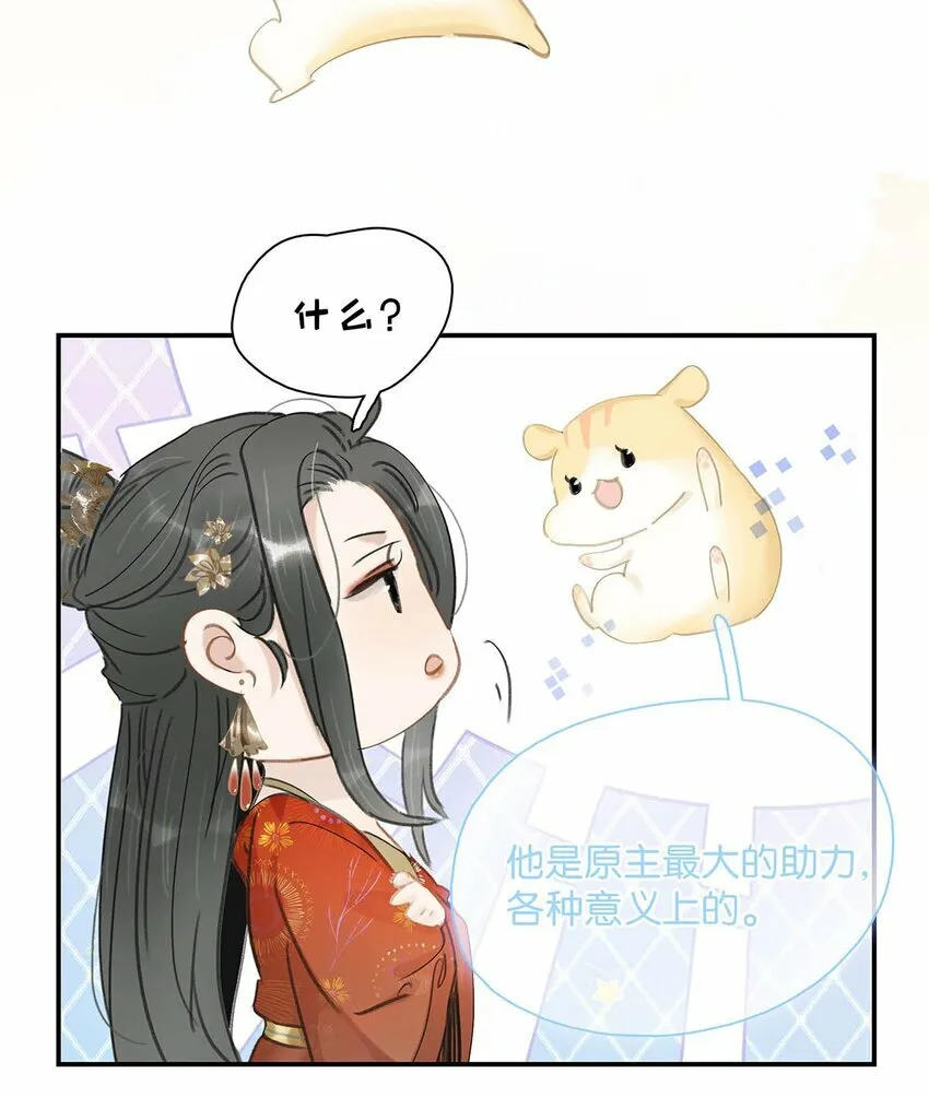 022 这个便宜舅舅是保障我荣华富贵的大腿？ 第4页