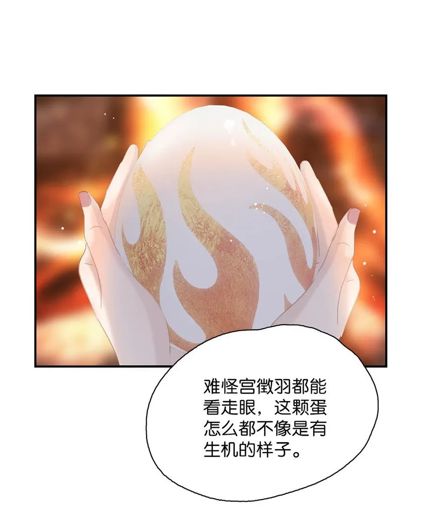 054 长公主，真是红颜祸水啊~ 第10页