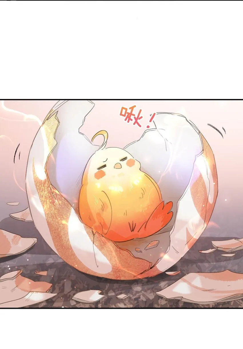 054 长公主，真是红颜祸水啊~ 第21页