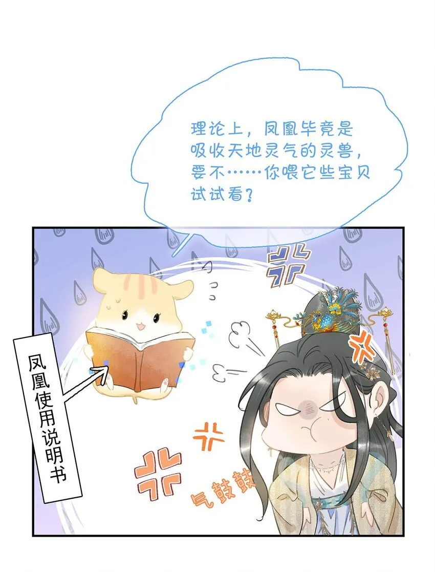054 长公主，真是红颜祸水啊~ 第25页