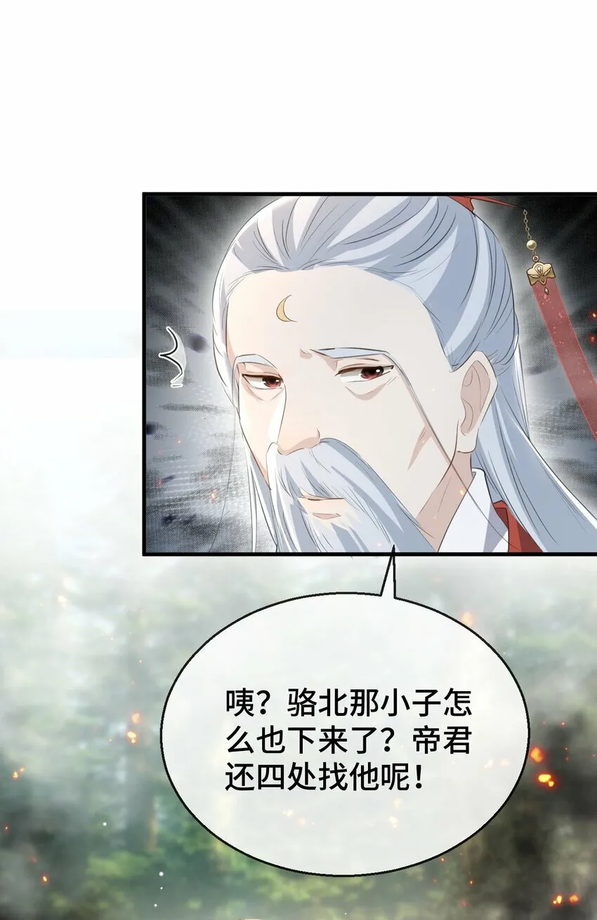 第14话 “魔尊大人”跟我回家吧 第3页