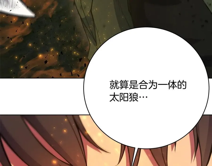 第37话 太阳狼 第175页