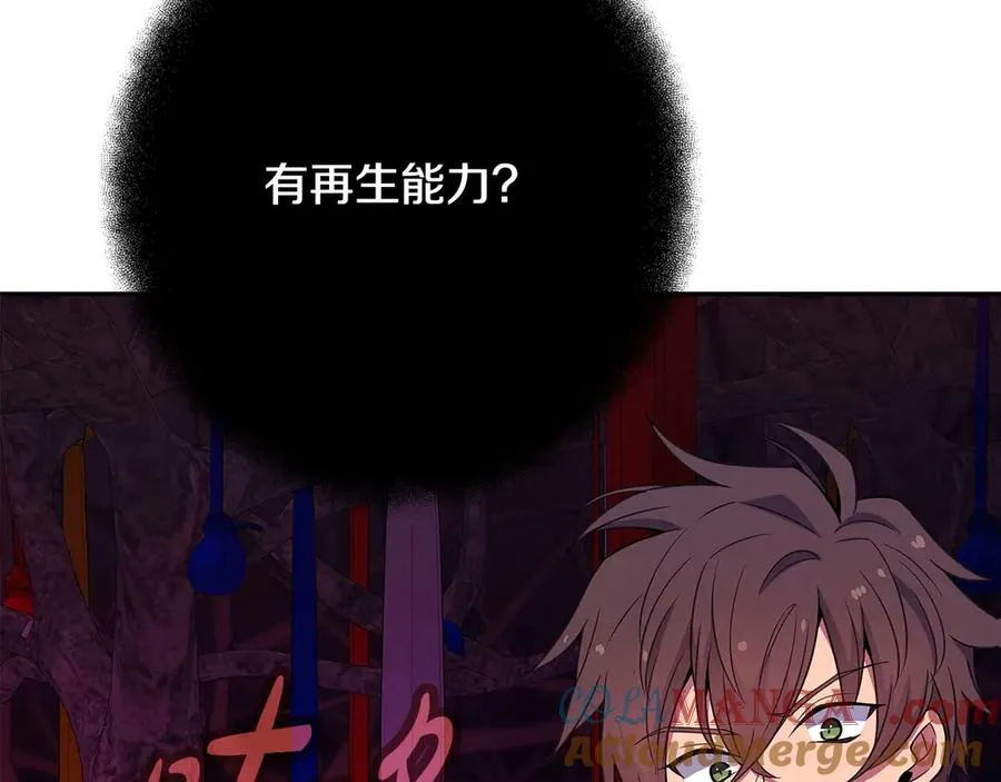 第64话 并肩作战 第185页