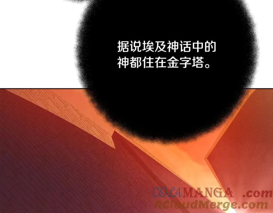 第78话 奇怪的规矩 第117页