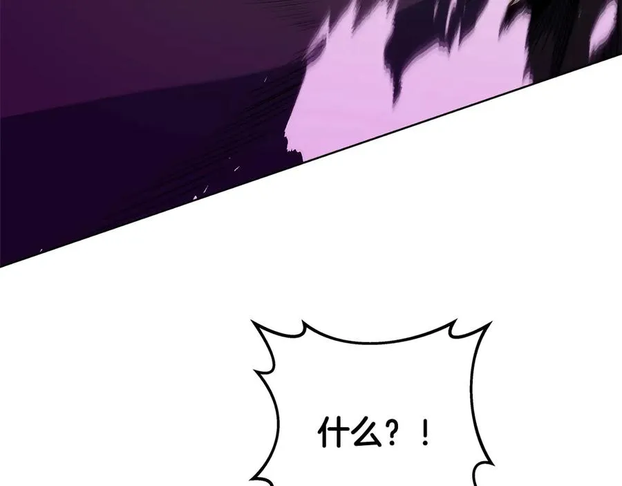 第88话 孤注一掷 第162页