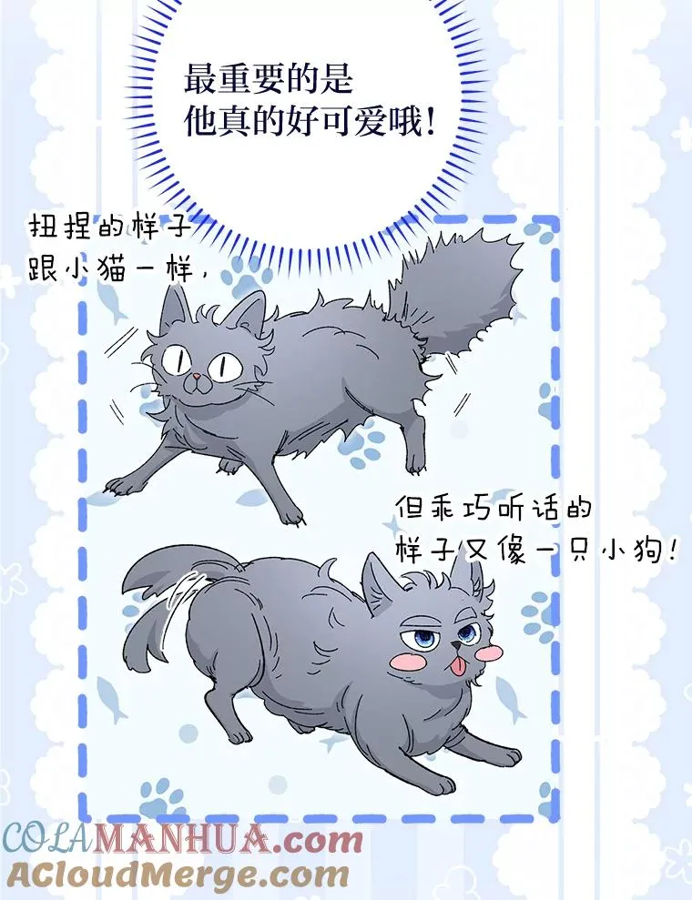 14.我的小“影子” 第145页