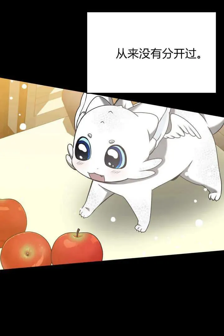 第41话 第11页