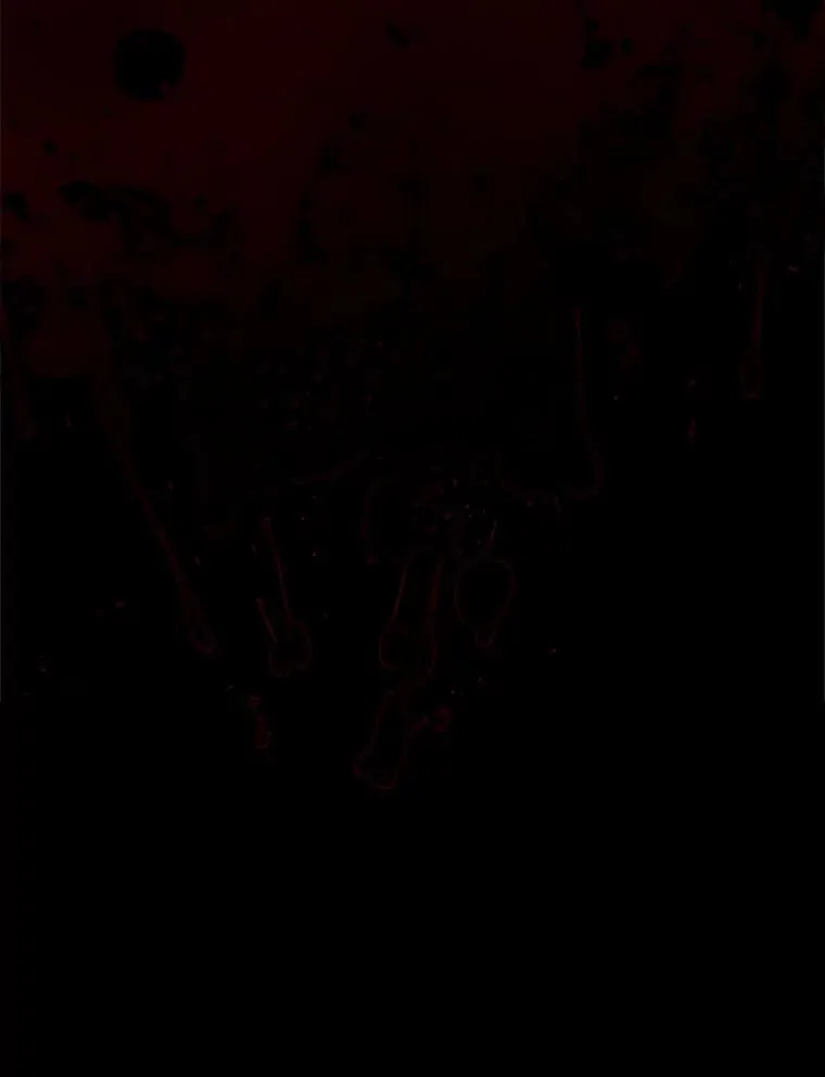 22.囚禁 第20页