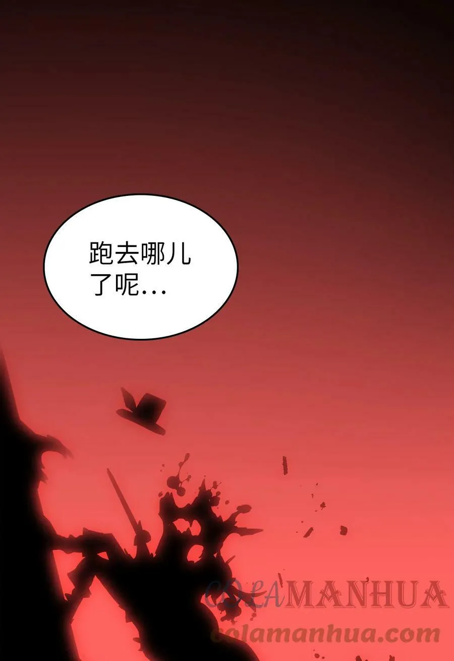 217 217 第52页