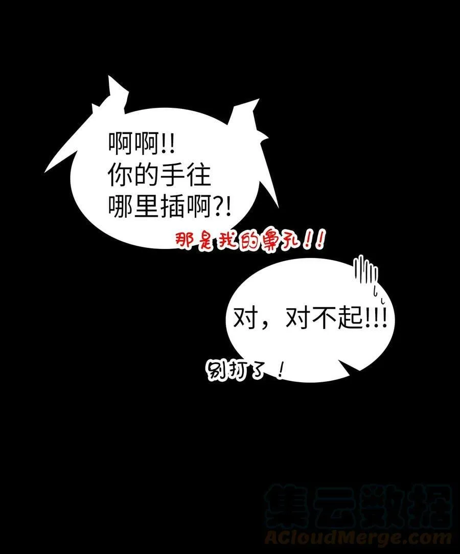 219 219 第31页