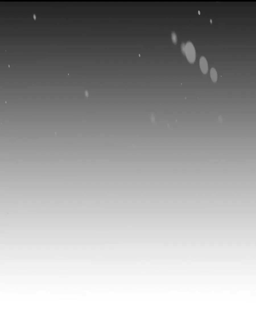 220 220 第29页