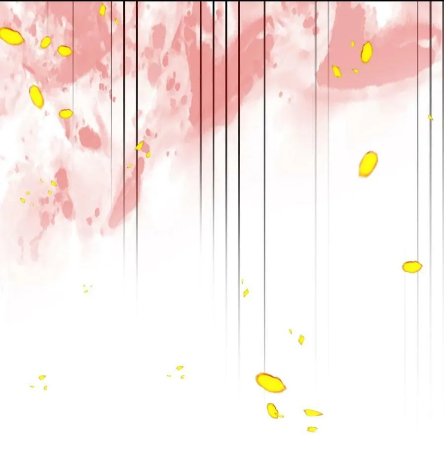 223 223 第11页