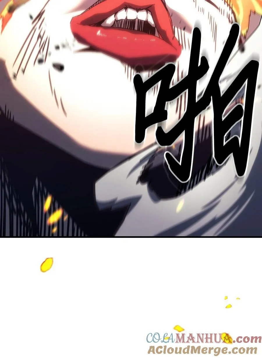 223 223 第13页